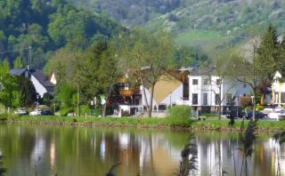 Moselidyll Traumferienwohnung In Exponierter Moselufer Lage - Traben-Trarbach - 9