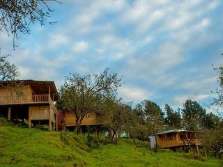 Shafa Wood Cabin - 9