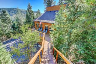 Evergreen Forest Retreat - 0