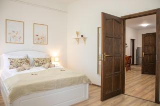 Vadvirág Apartman Gyula 2 - Gyula - 4