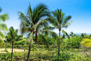 Big Island Keauhou Punahele E301 by Coldwell Banker Island Vacations - Kailua-Kona - 1