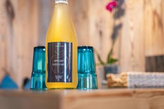 Chalet Ortles Apt ll - 1