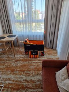 Apartament Amber Studio Bel Mare Aqua Resort - Misdroy - 6
