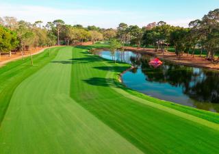 Innisbrook Resort - Palm Harbor - 4