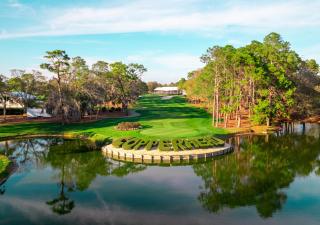 Innisbrook Resort - Palm Harbor - 0