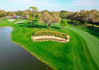 Innisbrook Resort - Palm Harbor - 8