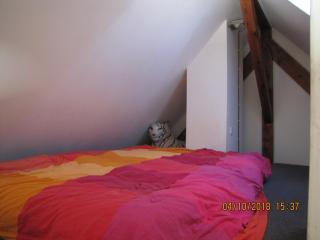R BNB Ouest - Molsheim - 1