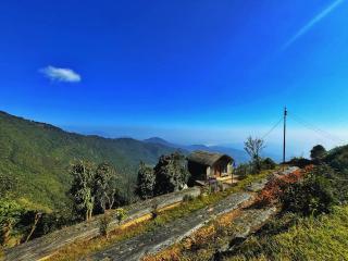 The92dowhill farmhouse - Kurseong - 9