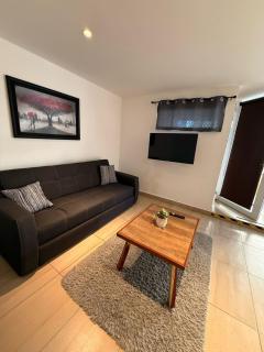 A spacious apartment - 0