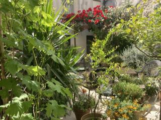 Urbain V 5 STARS Spa & Fitness - Avignon - 3