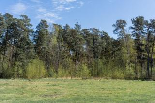 Ruby Oasis in Jurmala - Jūrmala - 8