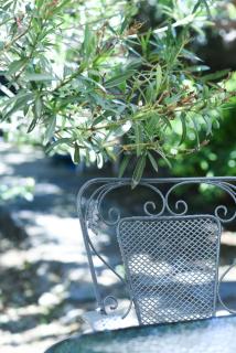 Basil Tree Stonehouse - 6