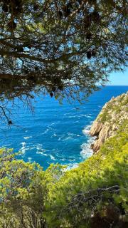 Magnifique T2 Calme Absolu Vue panoramique entre mer et colline - Ensuès-la-Redonne - 1
