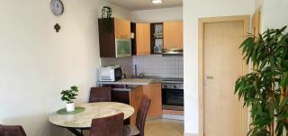 Apartma Sivi žako Novalja - Novalja - 4