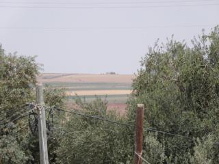 היחידה - Bet Sheʼan - 8