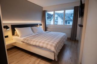 Hotel Derby Interlaken - Action & Relax Hub - Interlaken - 3
