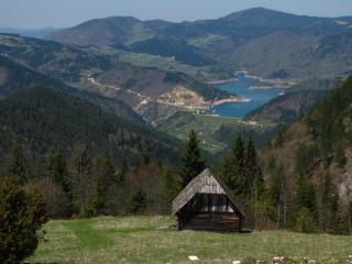 Forest Fairy - Šljivovica - 5