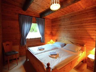 Detached holiday residence in the wonderfully beautiful Harz - Kamschlacken - 1