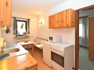 Apartment in beautiful Harz region with terrace - Kamschlacken - 9