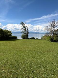 Appartement tout confort pieds dans l'eau avec vue imprenable , pause nature - 9