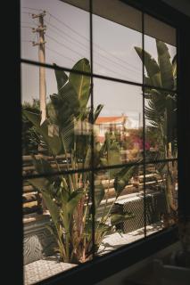 La Vida otel - 2