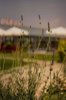 La Vida otel - Urla - 6