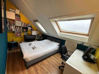 Modern and luxury vacation house, private Jacuzzi - Zoetermeer - 7