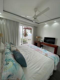Tropical Comfort V-102 - Punta Balandra - 8