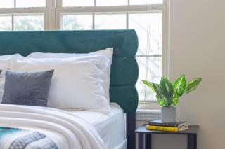 Quiet Suburban Home with Art Deco Flair - Ann Arbor - 1