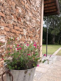 Tierra Aparts - La Cumbre - 6
