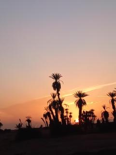 Camp sahara - Oulad Akkou - 0