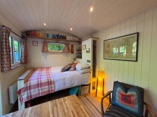 Shepherd’s delight - 1