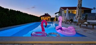 Villa Ana with a private pool on a 3000m2 property - Čvrljevo - 4