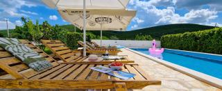 Villa Ana with a private pool on a 3000m2 property - Čvrljevo - 0