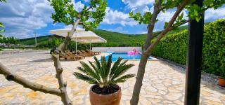 Villa Ana with a private pool on a 3000m2 property - Čvrljevo - 8