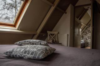 B&B Saense huisje - 1