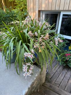 B&B Au Pain Quotidien - Barizey - 7