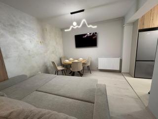 3 Room Modern Apartment - Braşov - 7