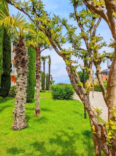 Appartamento Peschiera - Peschiera del Garda - 7