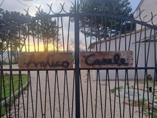 Antico Casale Agugliano - Agugliano - 9