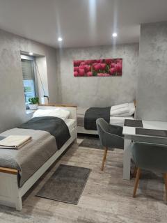 Apartamenty CENTRUM MIASTA Tomaszowa Mazowieckiego Quick Check-in Szybkie zameldowanie - Tomaszów Mazowiecki - 4