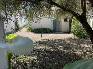 Gîte des pins - Sainte-Marie-de-Ré - 3