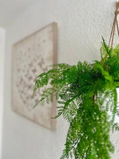 Apartamento Mirador de Jolucar - Torrenueva - 4
