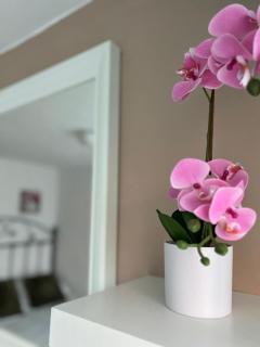 Apartamento Mirador de Jolucar - Torrenueva - 1