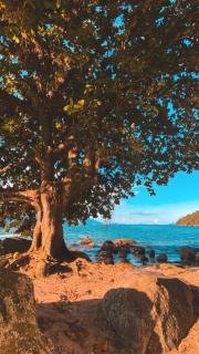 Hostel ABC - Angra dos Reis - 8