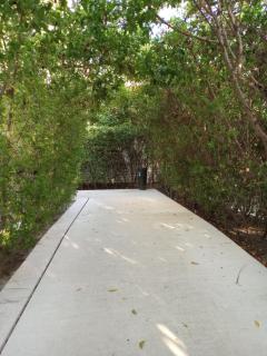 apartment with exit to the sea and mangrove - Cartagena de Indias - 3