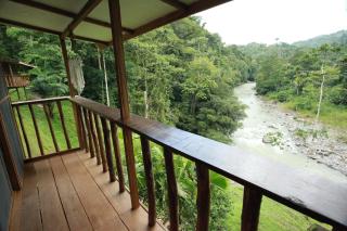 Ave Sol River Sanctuary - Siquirres - 8