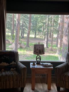 Cozy Cabin on the Creek - Colorado City - 5