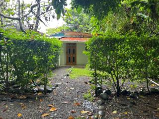 Casa Picasso - Talamanca - 4