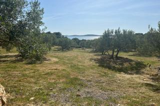 Secluded house with a parking space Cove Zuborovica, Pasman - 24333 - Neviđane - 4